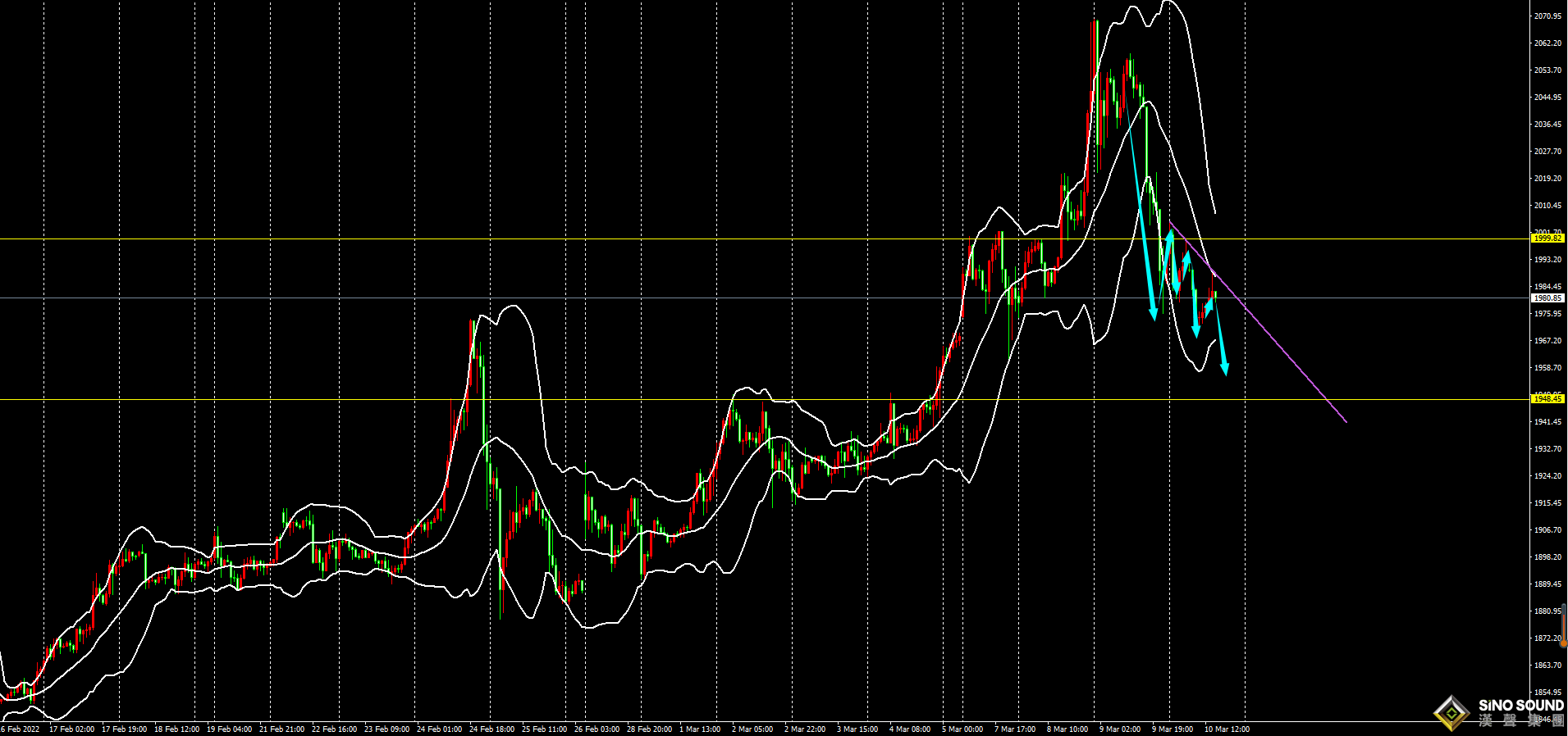 劉建偉：黃金見頂回落