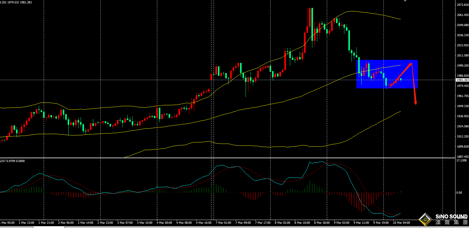 張明藝：逐步放空，不急一步到位！