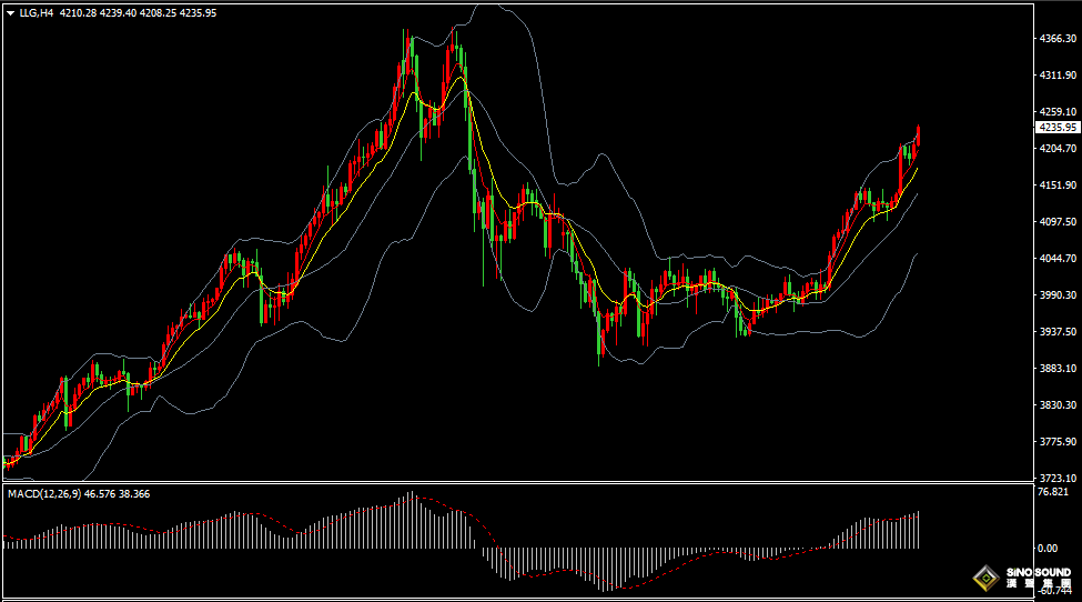 漢聲張新才:[11月13日晚評]估計晚間行情波動加劇，注意短線管控倉位風險