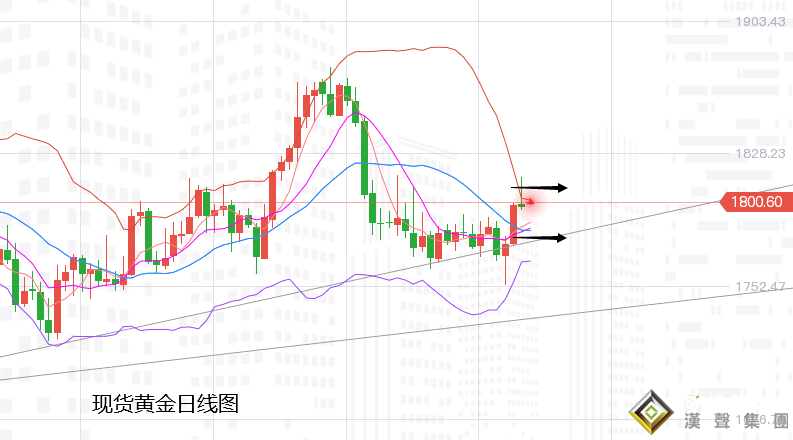 张尧浠：强通胀下生强鹰、黄金反弹遇阻暂陷震荡对待
