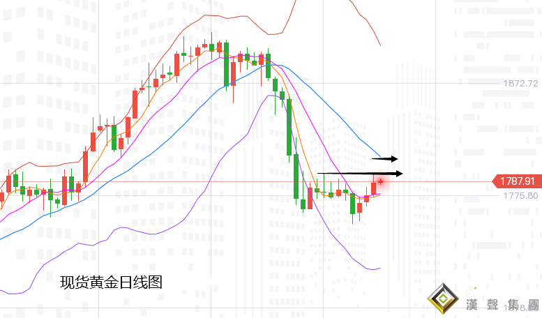 张尧浠：非农周后迎美纪要、黄金多头仍看反弹