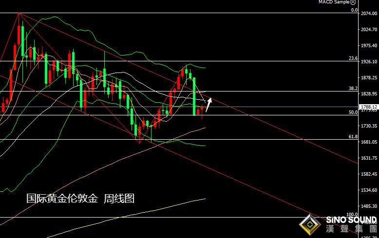 张尧浠：非农周后迎美纪要、黄金多头仍看反弹