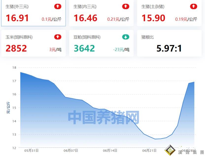 一周經歷從地獄到天堂！豬價迅猛上漲，豬市歡呼一片 但這波反彈能持續嗎？