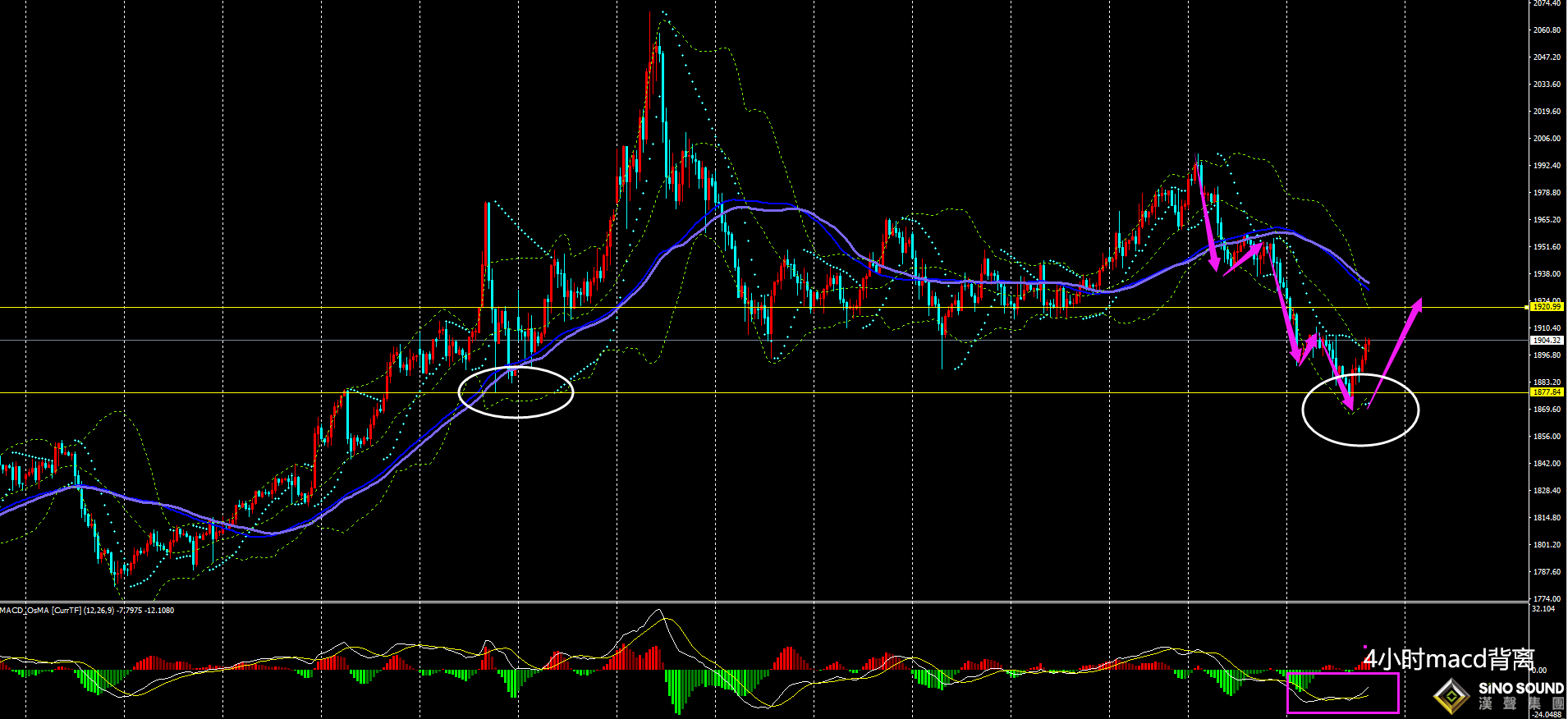劉建偉：黃金觸底反彈