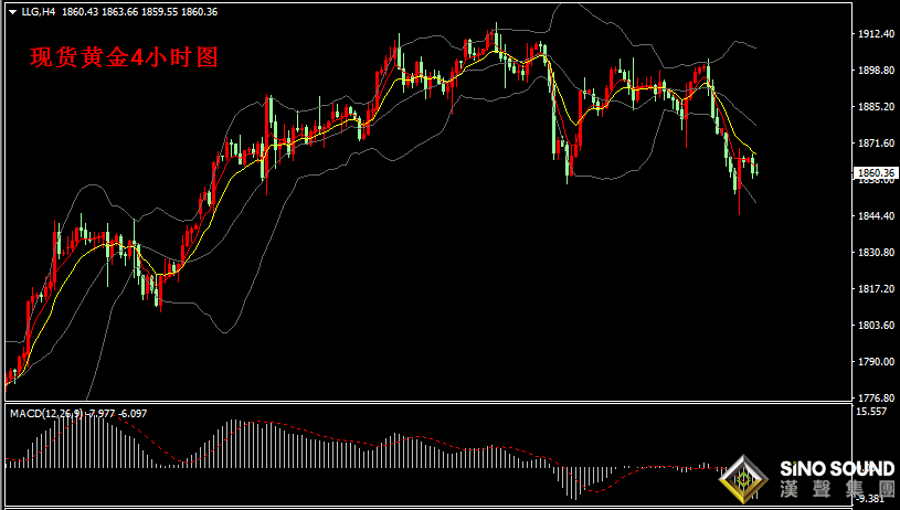 漢聲張新才:[6月15日早評]昨日金價大跌后再度拉升，目前金價徘徊1860附近
