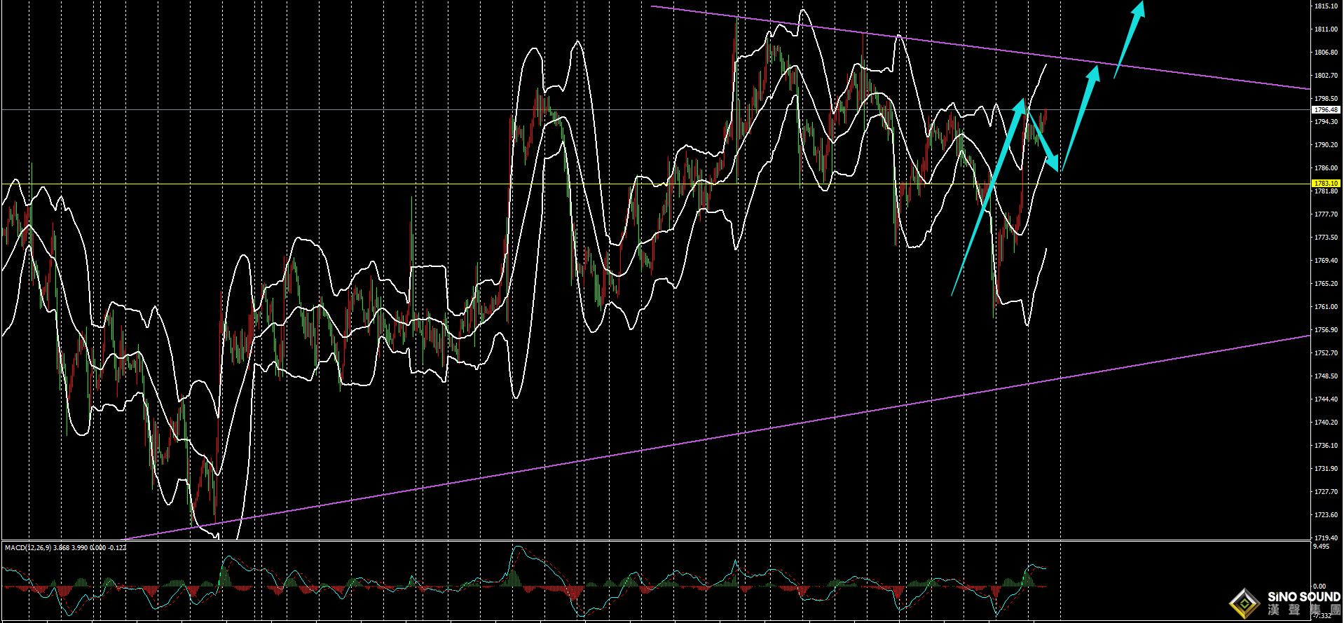 劉建偉:黃金日內調整等非農